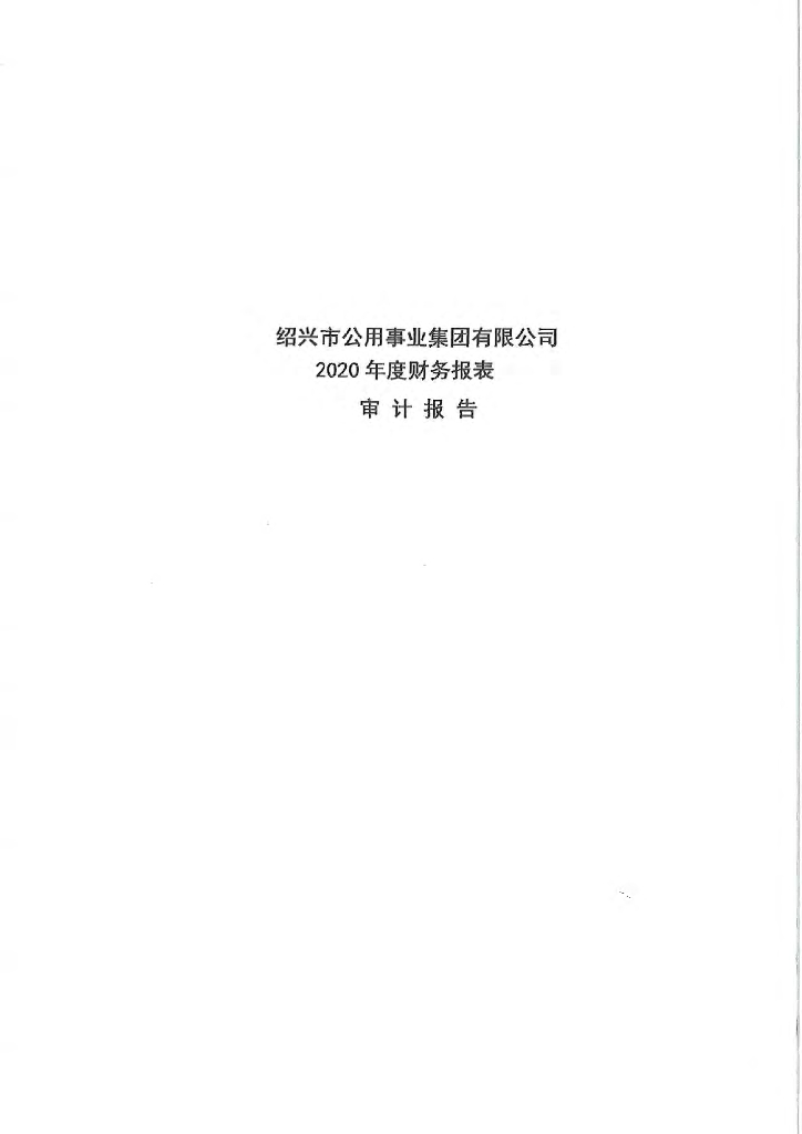 绍兴市公用事业集团有限公司2020年度经审计的合并及母公司财务报告