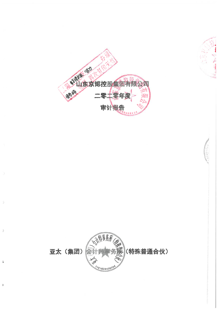 山东京博控股集团有限公司2020年度审计报告