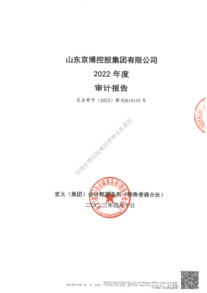 山东京博控股集团有限公司2022年度审计报告