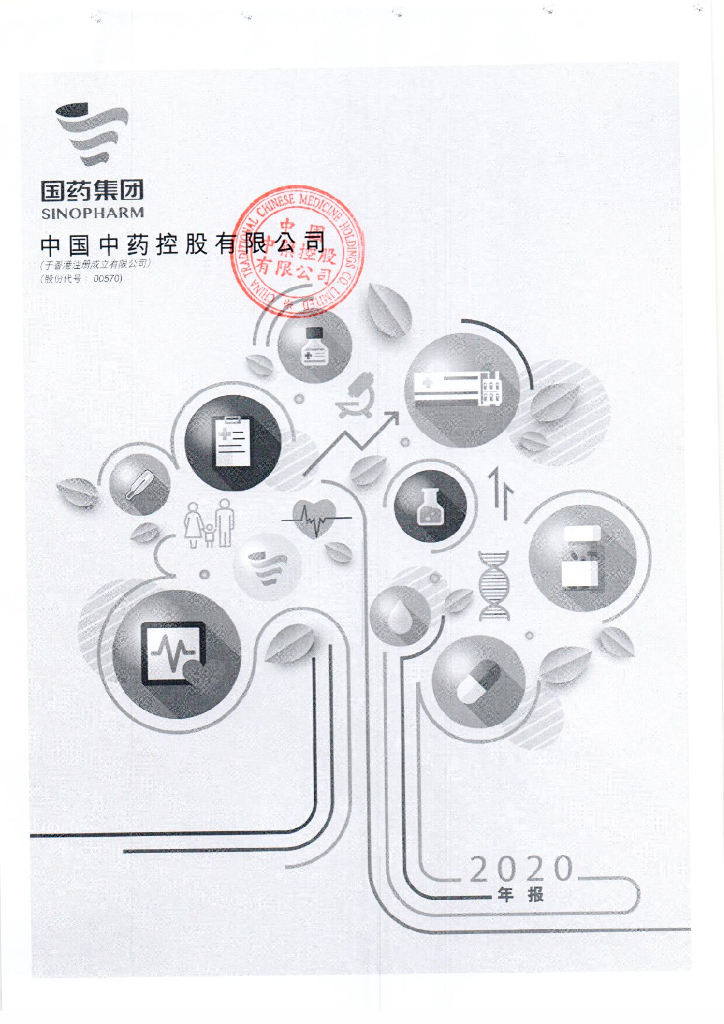 中国中药控股有限公司2020年度经审计的合并财务报告(简体中文翻译件)