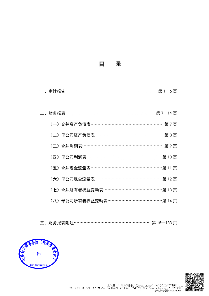 新湖中宝股份有限公司2022年度审计报告