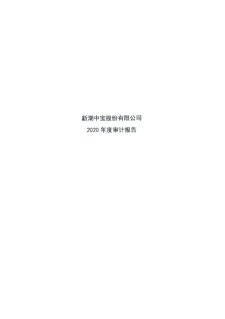 新湖中宝股份有限公司2020年审计报告