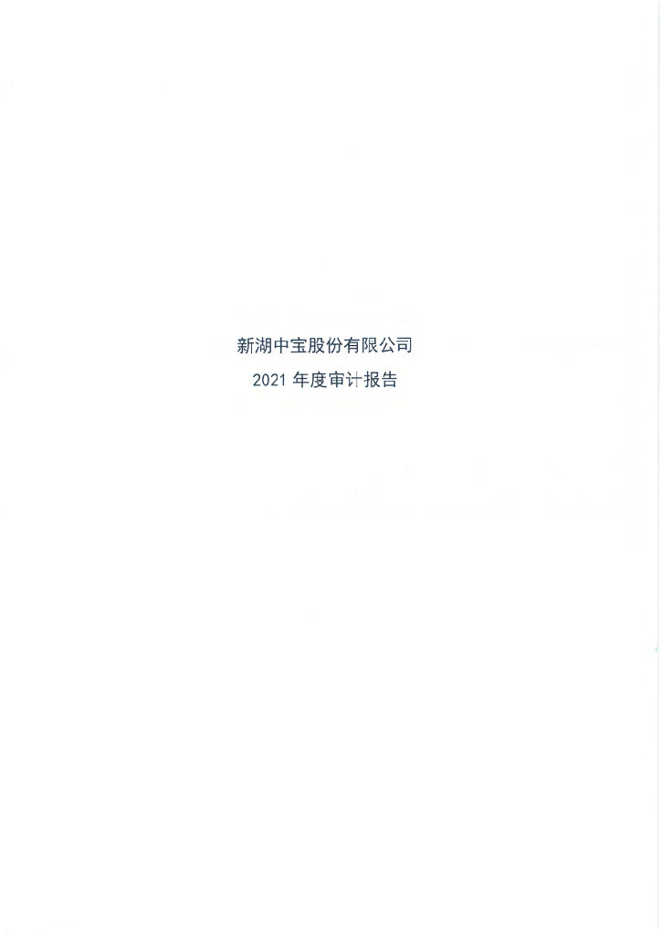 新湖中宝股份有限公司2021年审计报告