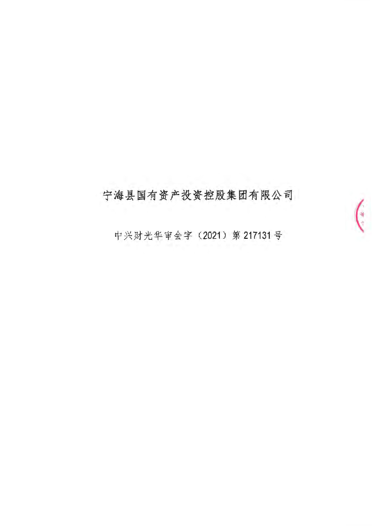 宁海县国有资产投资控股集团有限公司2018-2020年经审计的财务报告
