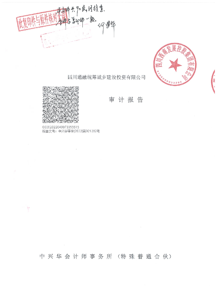 四川西南发展控股集团有限公司2019-2021年度审计报告