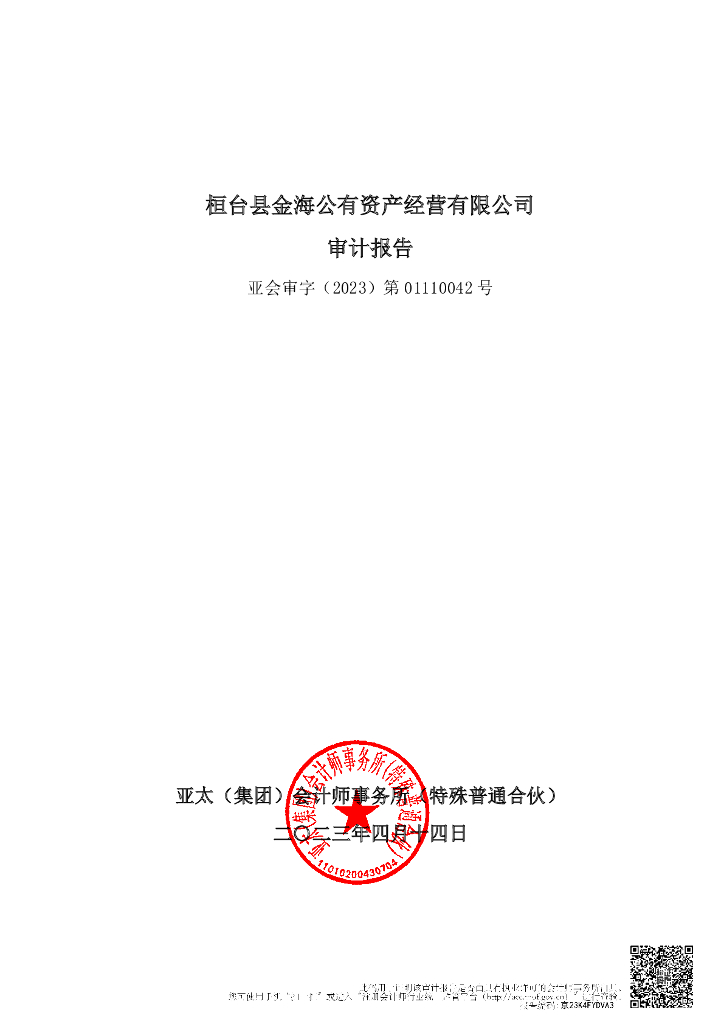 桓台县金海公有资产经营有限公司2022年度审计报告