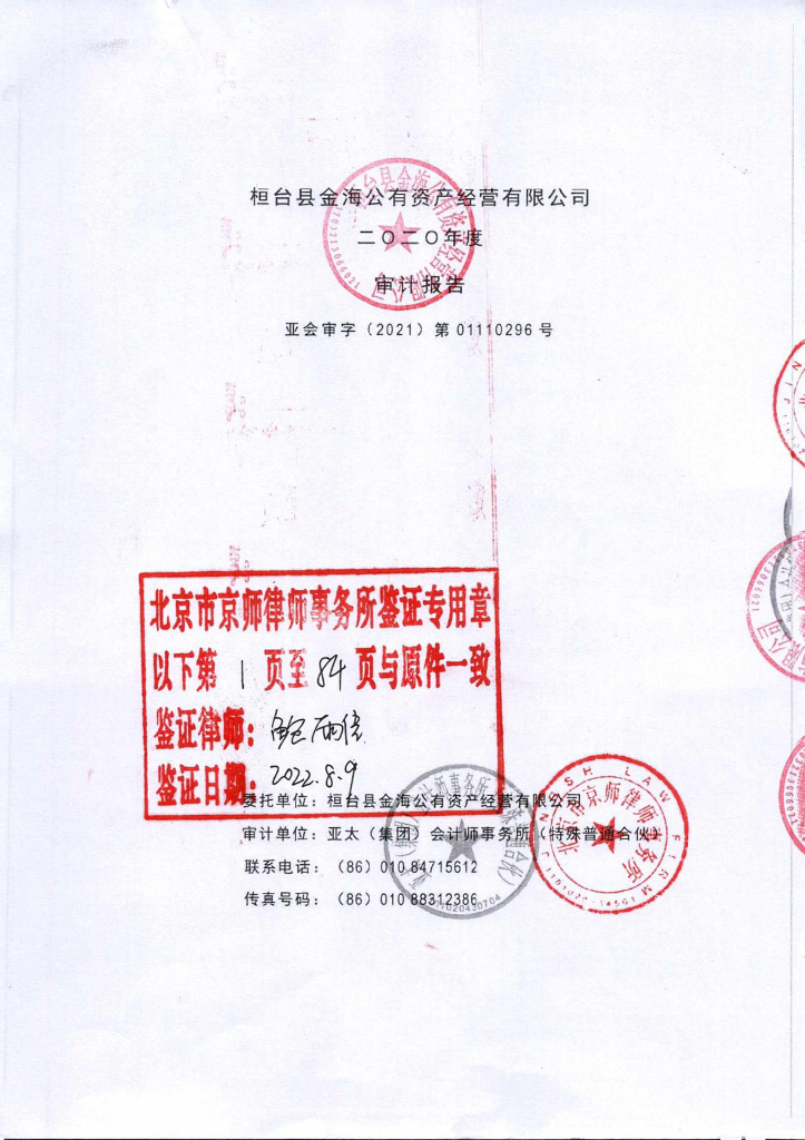桓台县金海公有资产经营有限公司2020年度审计报告