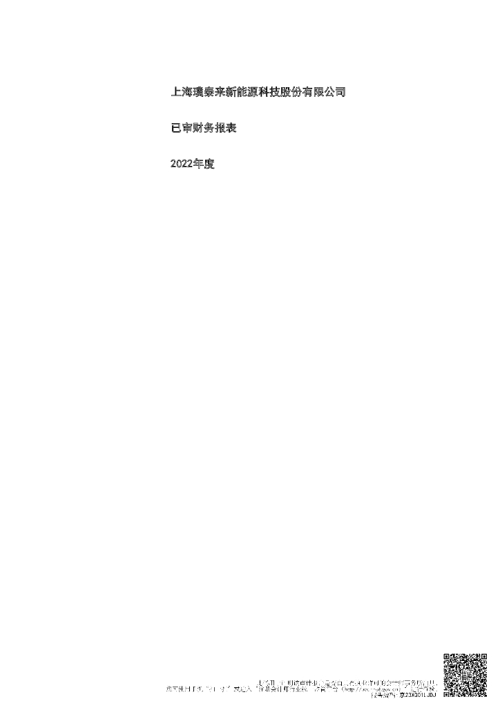 上海璞泰来新能源科技股份有限公司2022年度经审计的合并及母公司财务报告