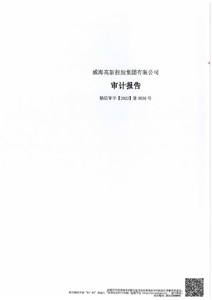威海高新控股集团有限公司2022年审计报告