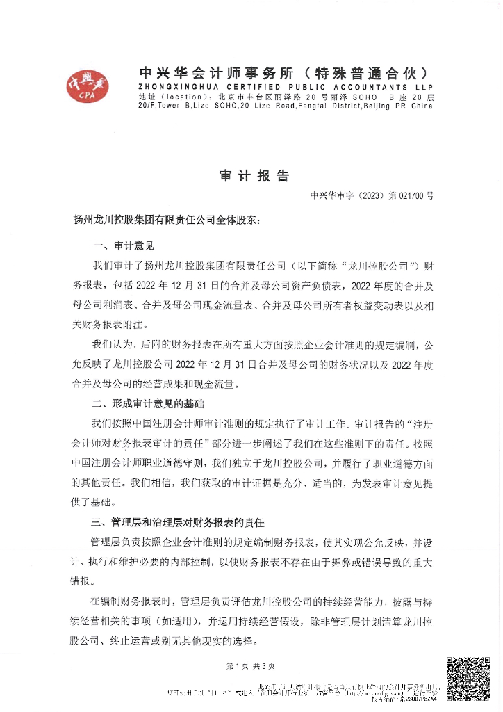 扬州龙川控股集团有限责任公司2022年度财务报告及附注