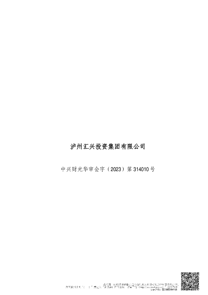 泸州汇兴投资集团有限公司2022年度审计报告
