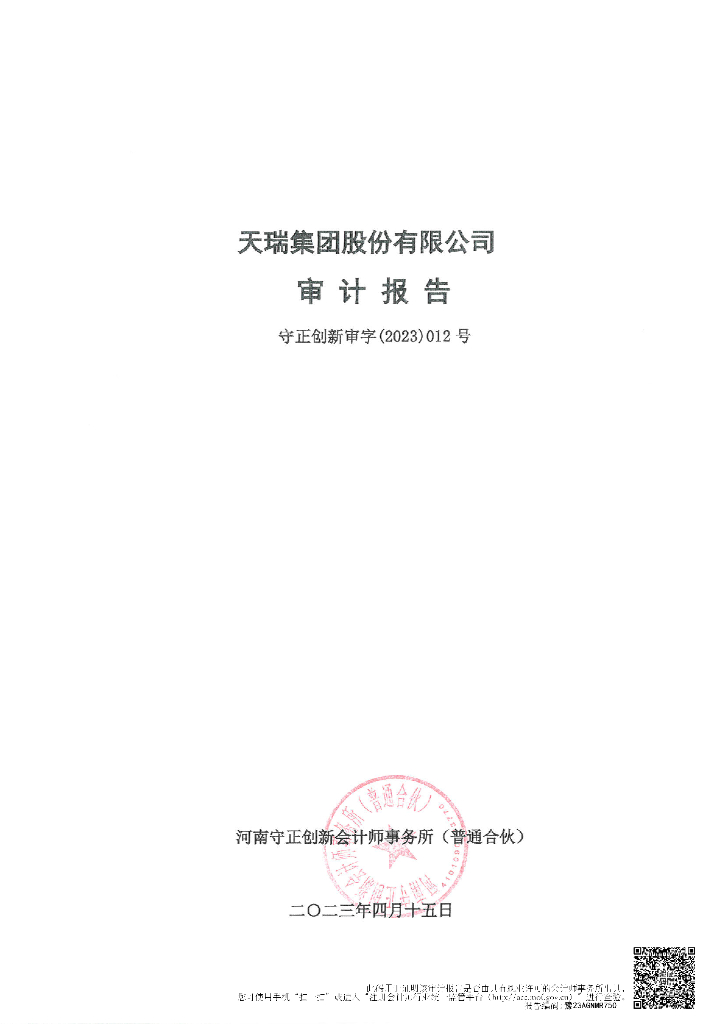 天瑞集团股份有限公司2022年度审计报告