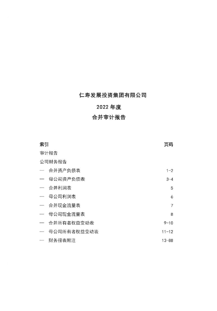 仁寿发展投资集团有限公司2022年度合并审计报告
