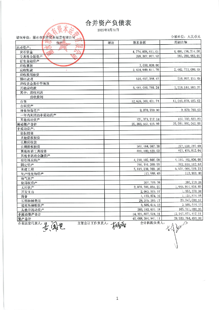 丽水市国有资本运营有限公司2023年一季度财务报表