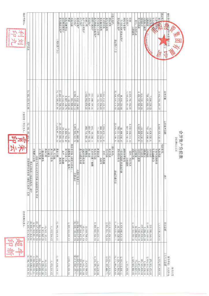 南阳投资集团有限公司2023年一季度财务报表