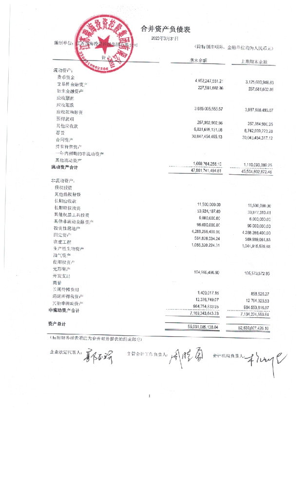江苏瑞海投资控股集团有限公司2023年度一季度财务报表