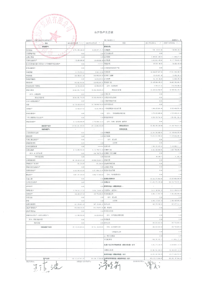 中国电建地产集团有限公司2023年一季度财务报表