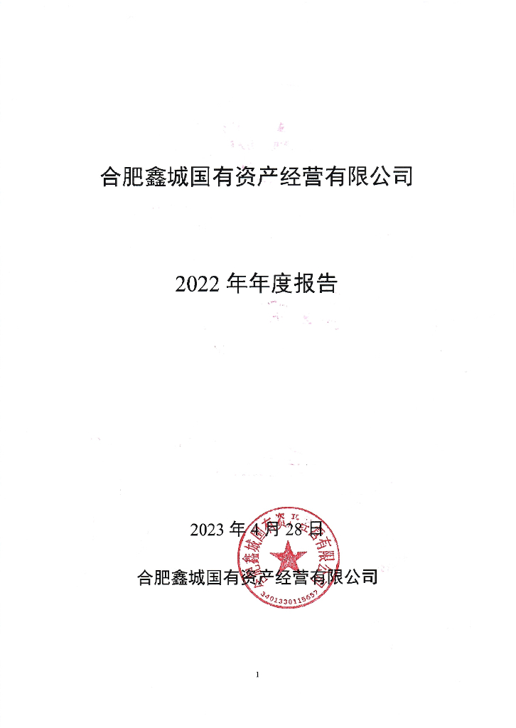 合肥鑫城国有资产经营有限公司2022年年度报告