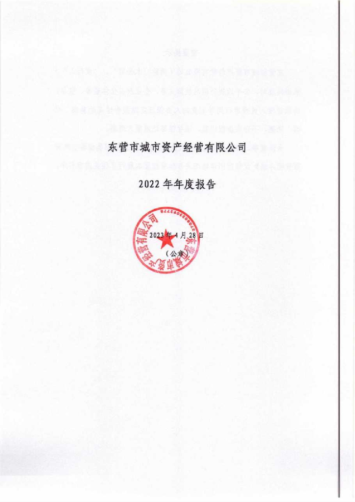 东营市城市资产经营有限公司2022年年度报告