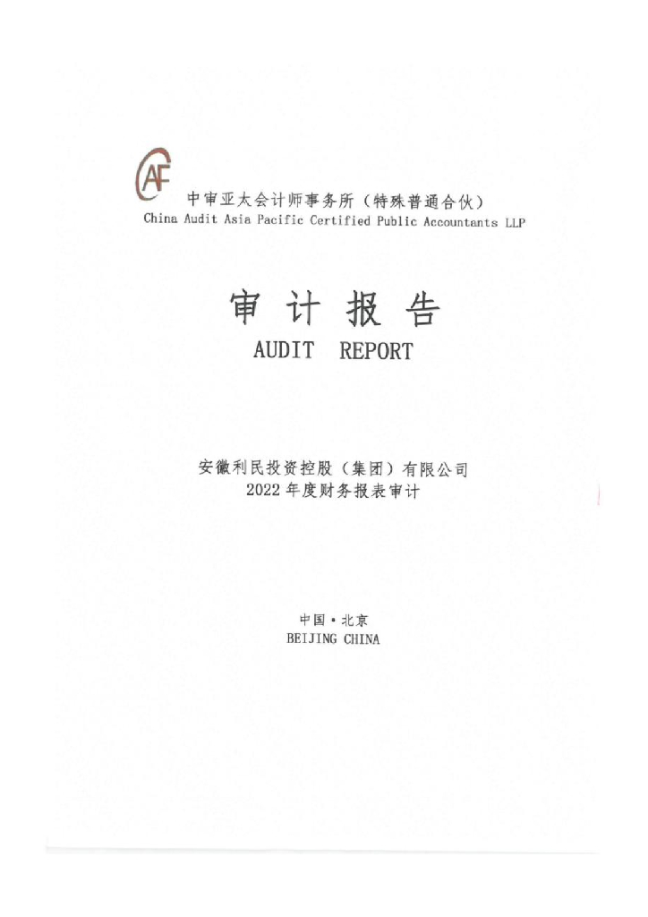 安徽利民投资控股(集团)有限公司2022年度审计报告