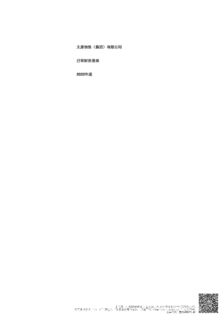 太原钢铁(集团)有限公司2022年度审计报告