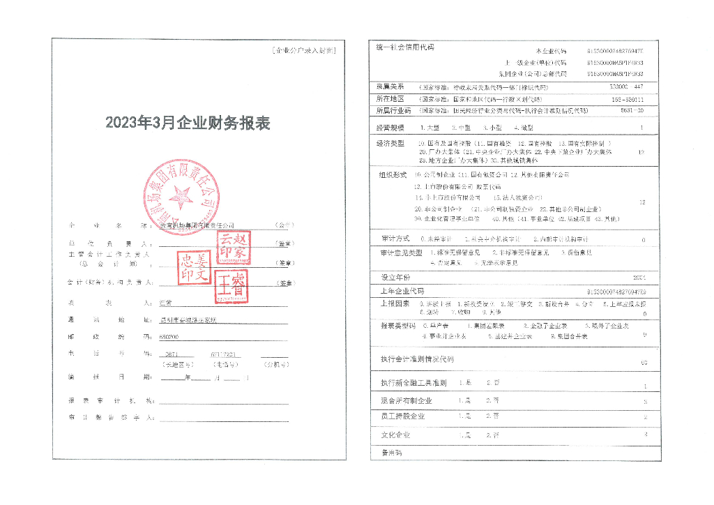 云南机场集团有限责任公司2023年一季度财务报表