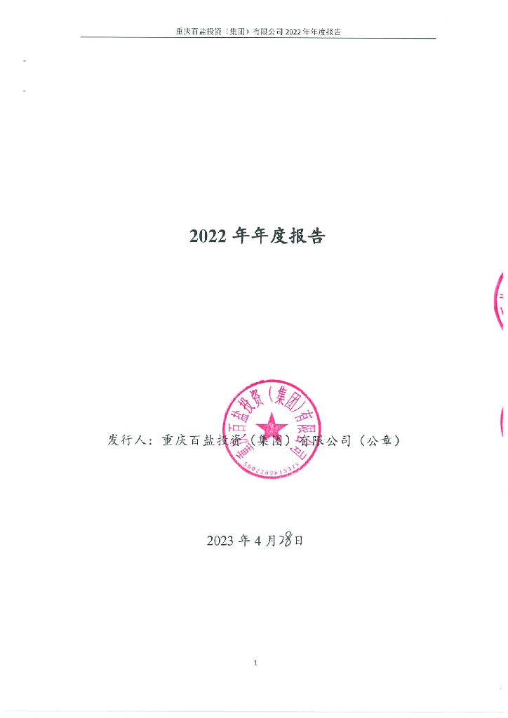 重庆百盐投资(集团)有限公司2022年度报告及审计报告