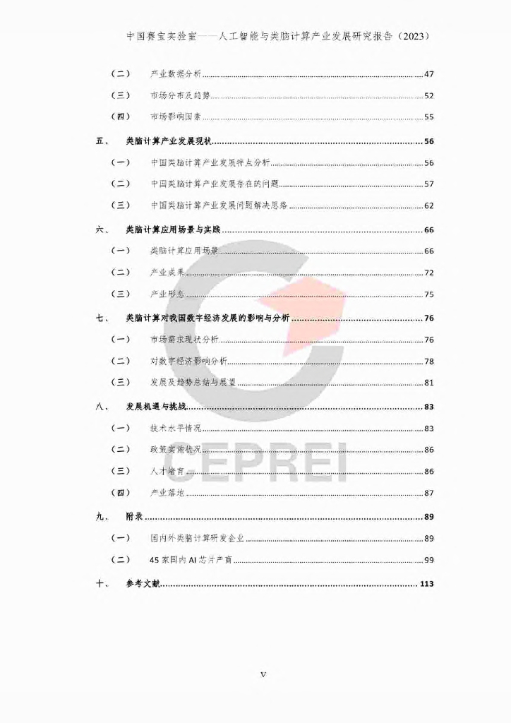 中国赛宝智库：人工智能与类脑计算产业发展研究报告（2023）_第9页