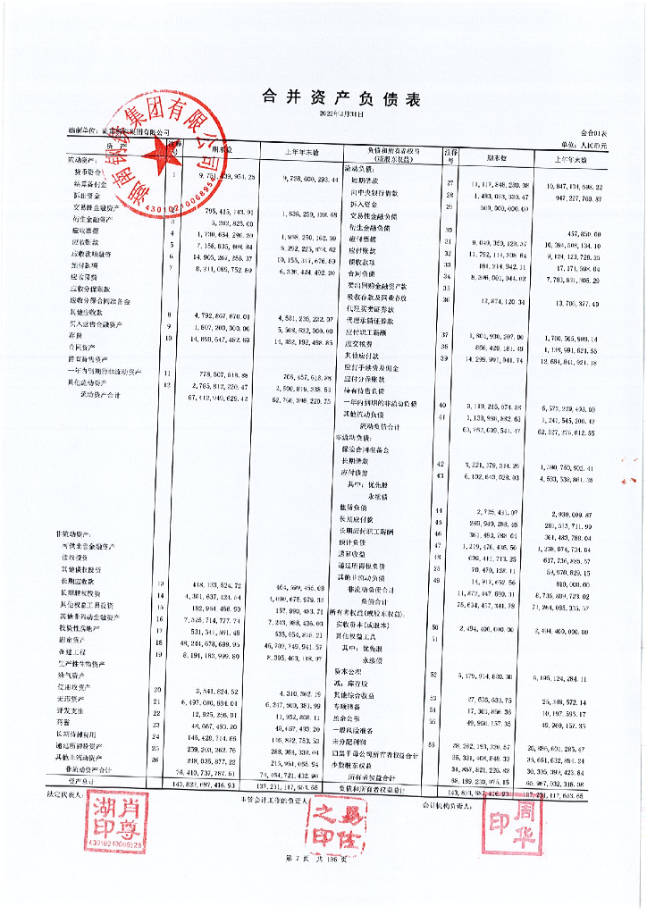 湖南<em>钢铁</em>集团有限公司202年1季度财务报表