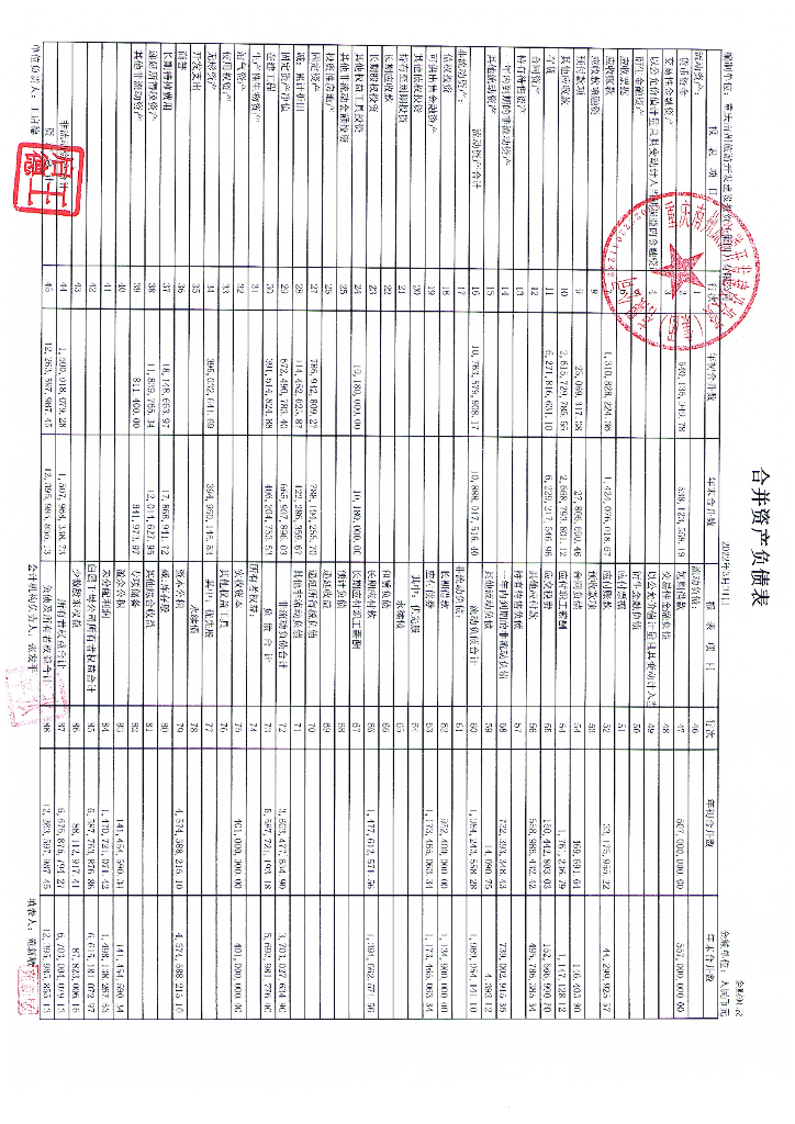 重庆南州<em>旅游</em>开发建设投资(集团)有限公司2022年度一季度财务报告