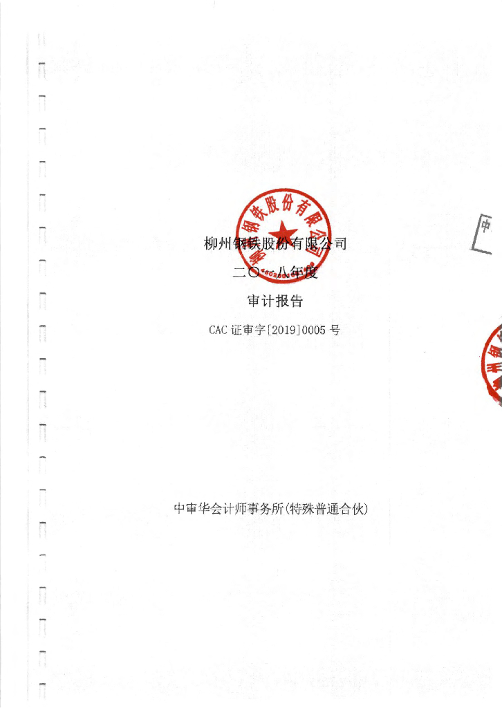 柳州<em>钢铁</em>股份有限公司2018年度审计报告