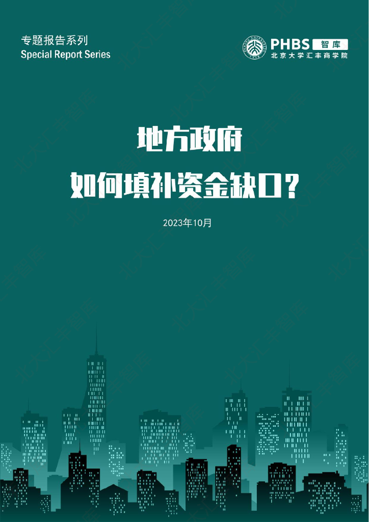 北大汇丰智库：地方政府如何填补资金缺口？