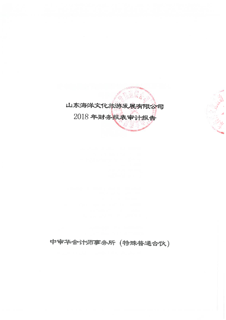 山东海洋文化<em>旅游</em>发展集团有限公司2018年度审计报告