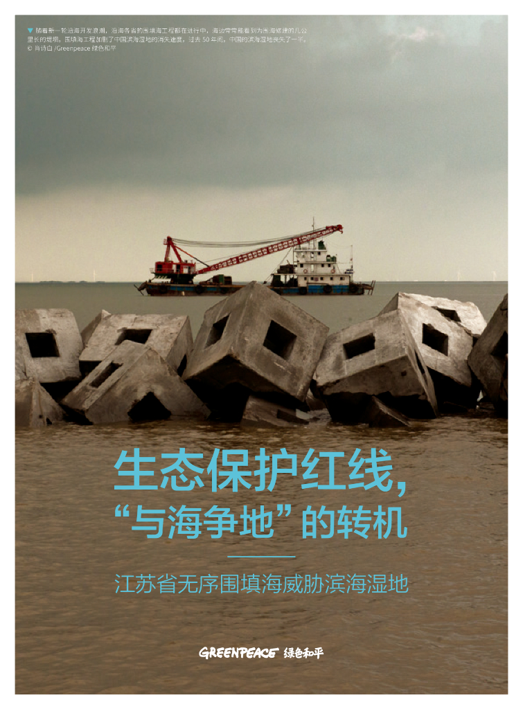 绿色和平：生态保护红线,“与海争地”的转机-江苏省无序围填海威胁滨海湿地