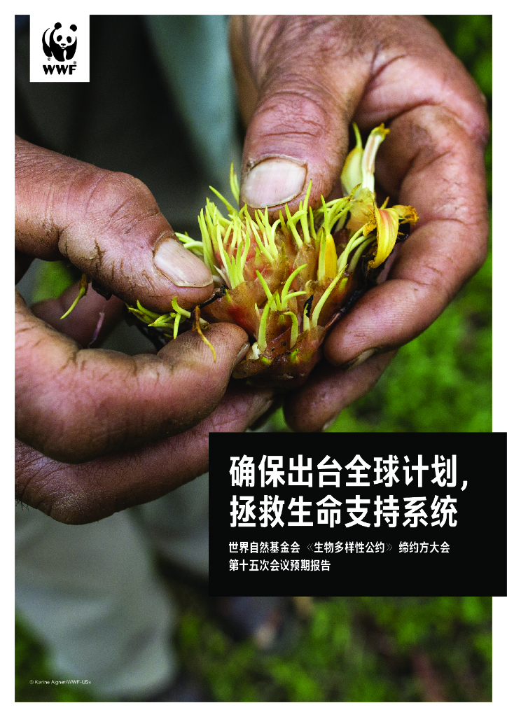 WWF世界自然基金会：世界自然基金会《生物多样性公约》缔约方大会第十五次会议预期报告