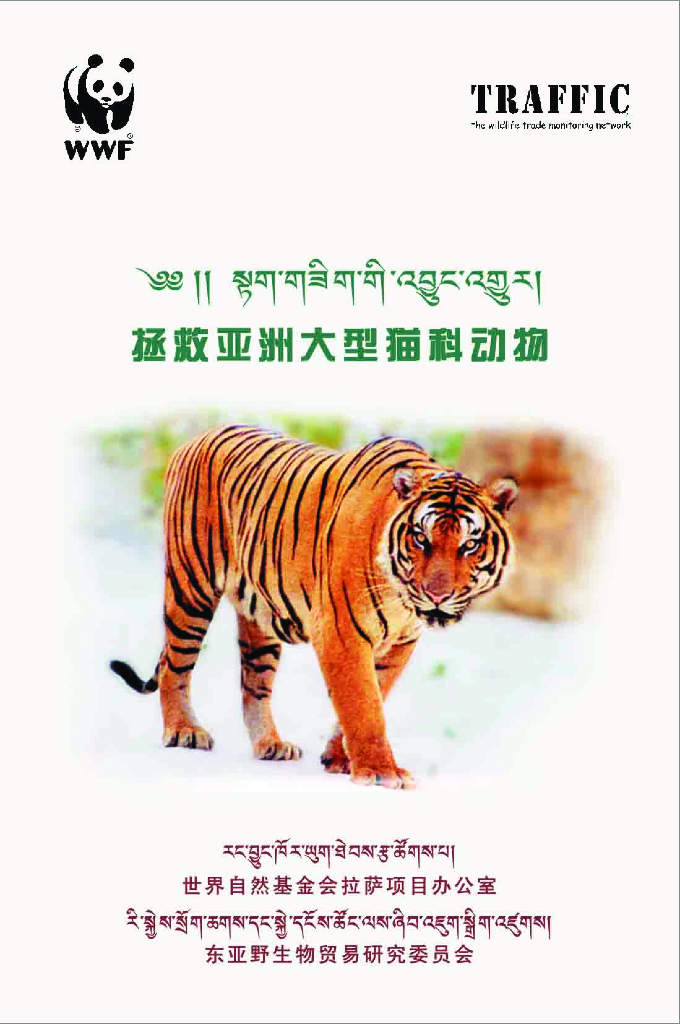 世界自然基金会：拯救亚洲大型猫科动物