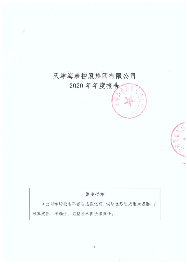 天津海泰控股集团有限公司2020年年度报告