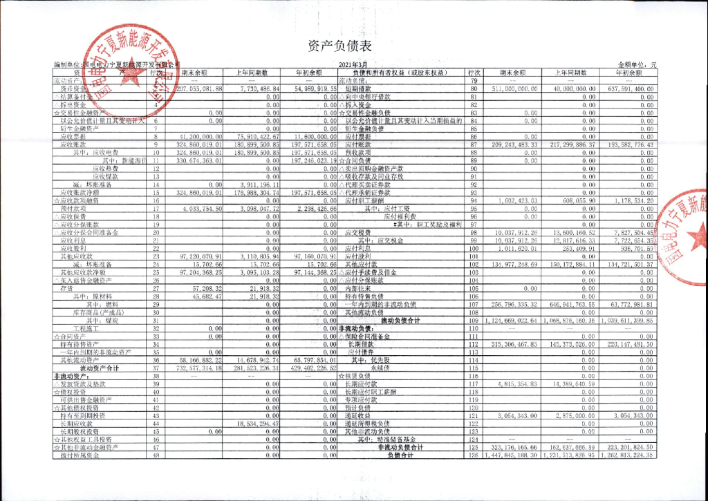 国电电力宁夏新<em>能源</em>开发有限公司2021年1季度财务报表 海报