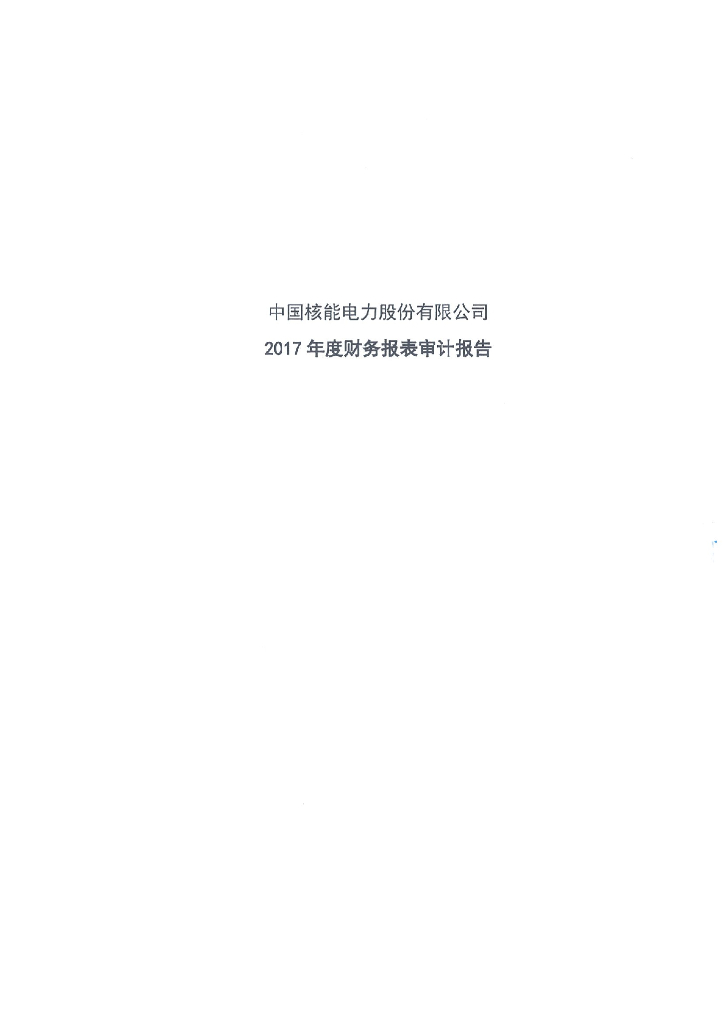 中国<em>核能</em>电力股份有限公司2017年度审计报告