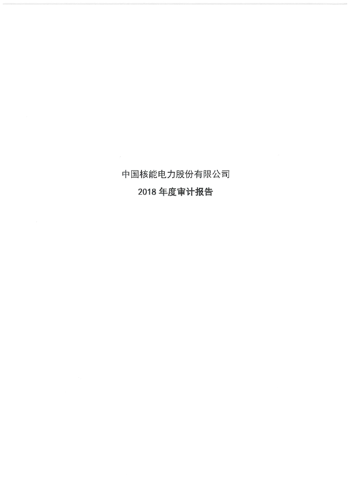 中国<em>核能</em>电力股份有限公司2018年度审计报告