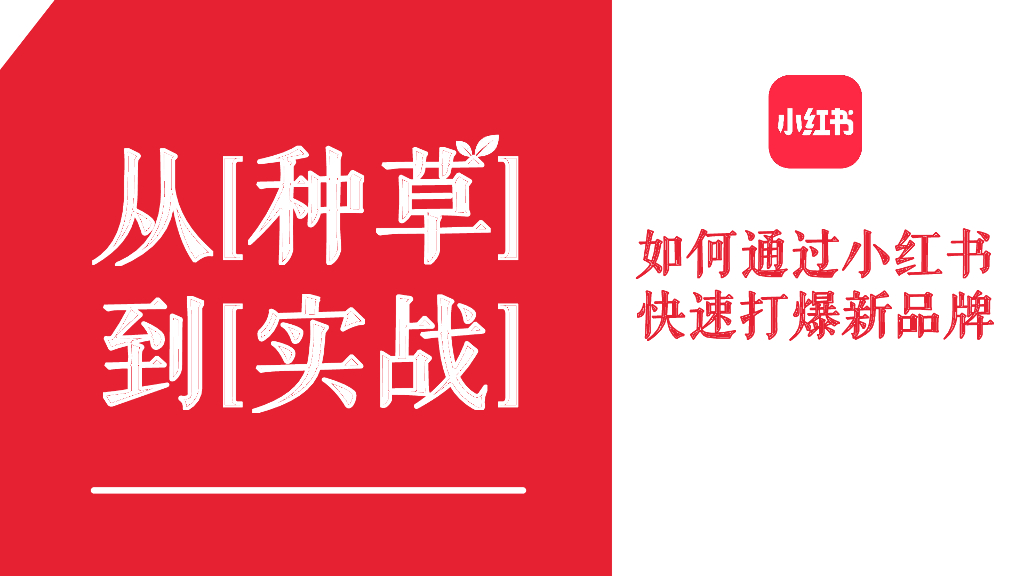 小红书：如何通过小红书快速打爆新品牌