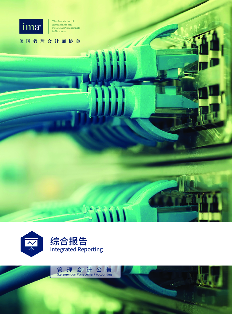 美国管理会计师协会：综合报告