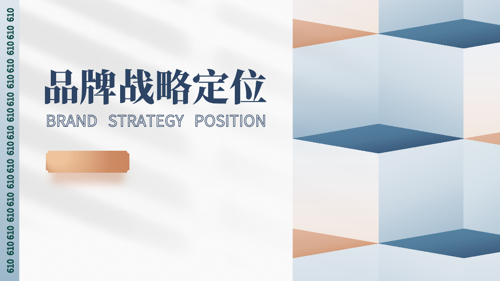 2023品牌战略定位报告