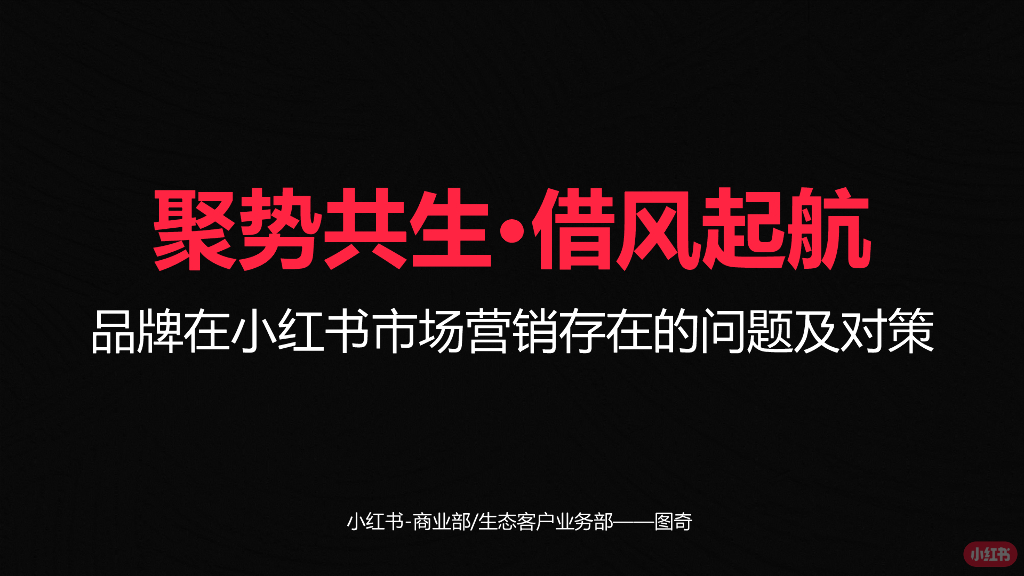 小红书：聚势共生 借风起航-品牌在小红书市场营销存在的问题及对策报告
