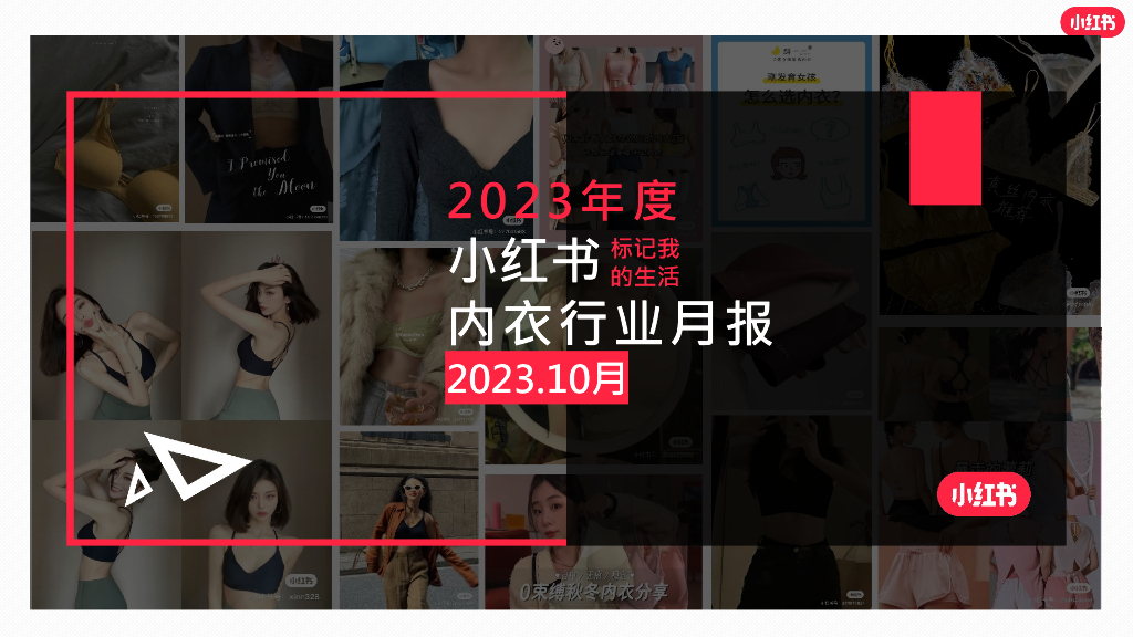 小红书：2023年10月小红书内衣行业月报