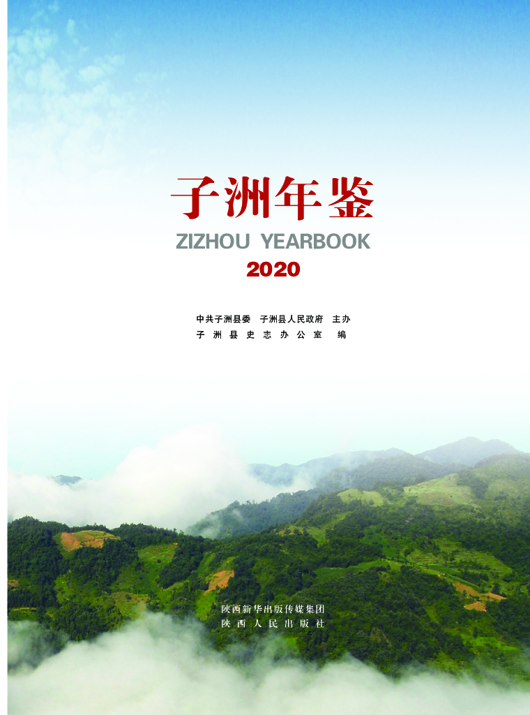 子洲年鉴2020