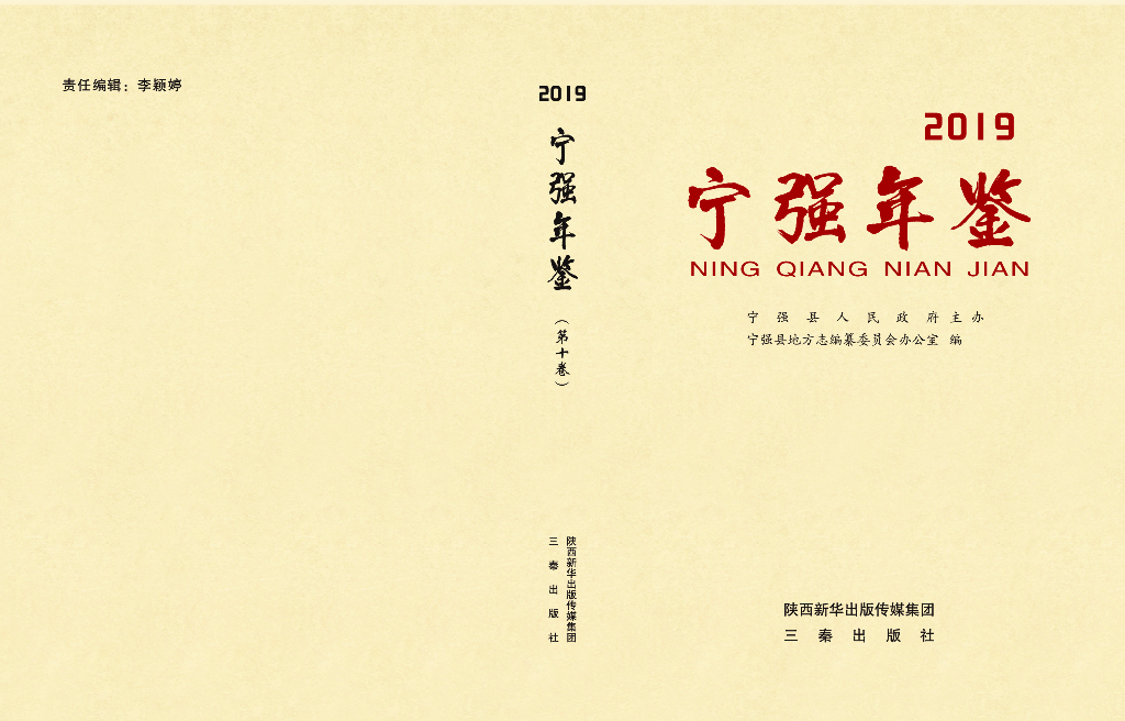 宁强年鉴（2019）
