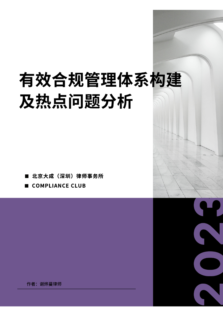 大成：2023有效合规管理体系构建及热点问题分析白皮书