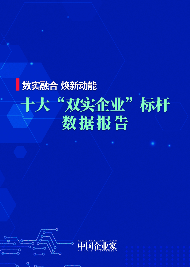 中国企业家：2023十大“双实企业”标杆数据报告-数实融合 换新动能