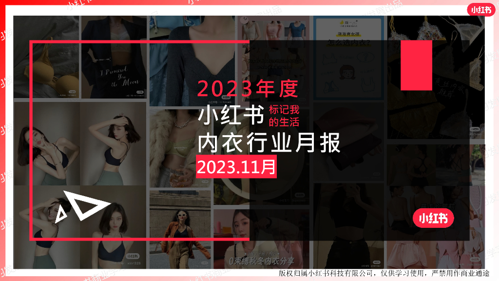 小红书：2023年11月小红书内衣行业月报